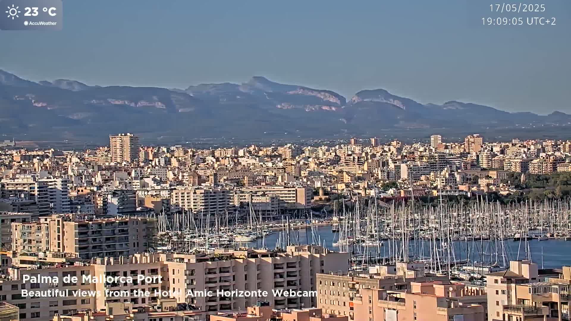 A harbor filled with numerous sailboats is situated in front of a sprawling city, all under a clear, sunny sky with distant mountains in the background.