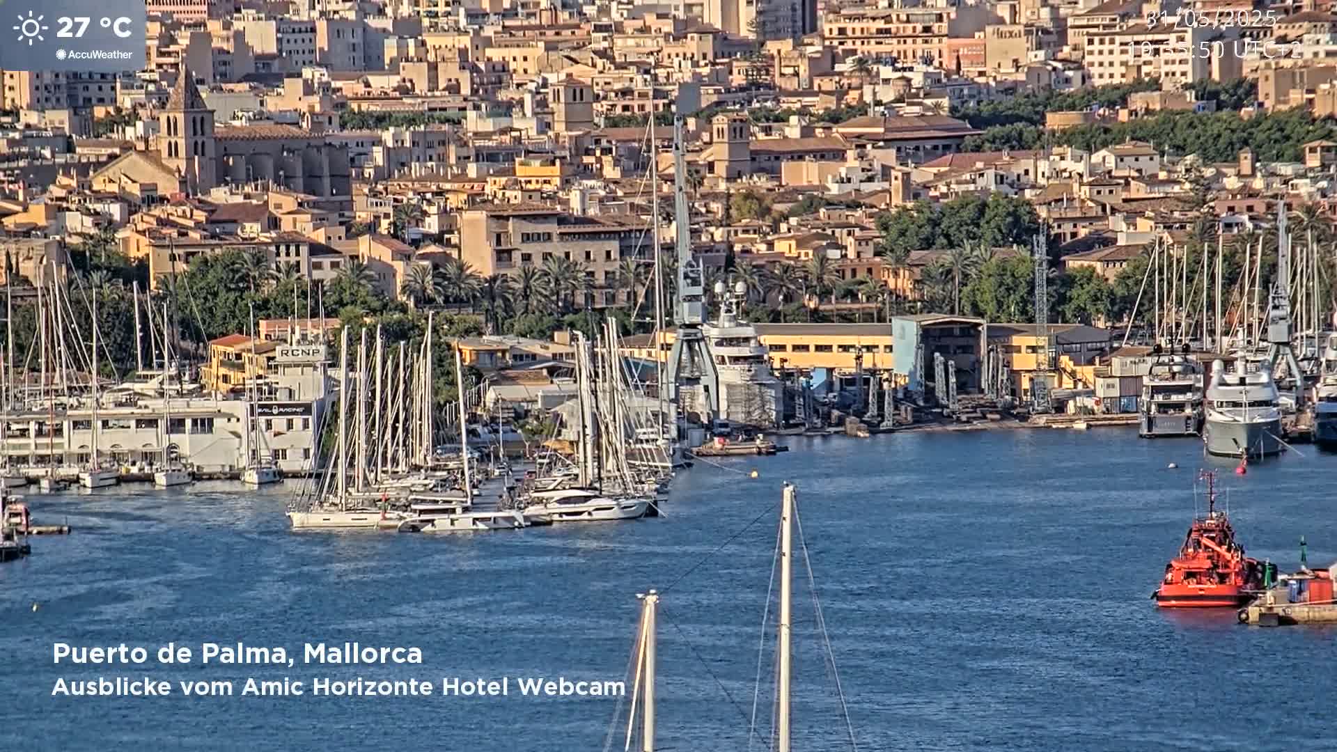A harbor filled with sailboats and yachts sits in front of a city under a sunny sky.