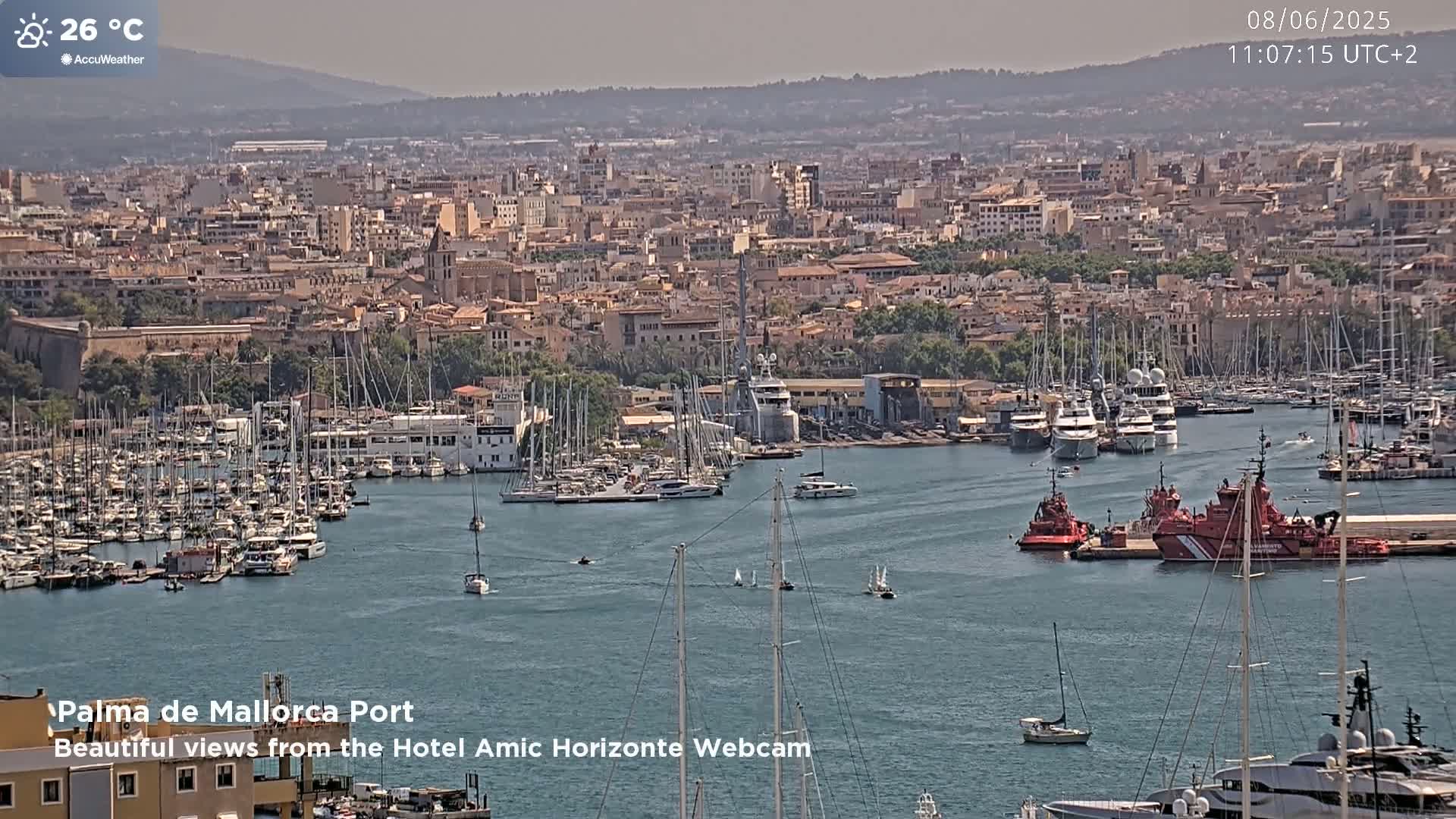 A harbor filled with numerous sailboats and yachts is situated in front of a city under a hazy, sunny sky.