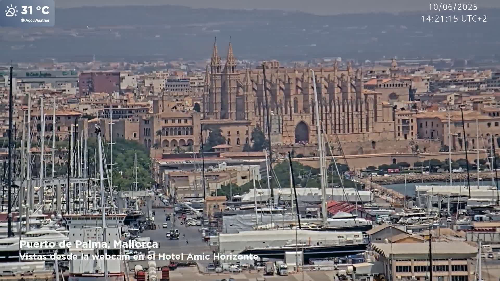 A harbor filled with sailboats is seen in front of a city with a large cathedral, on a clear, sunny day with a temperature of 31°C.