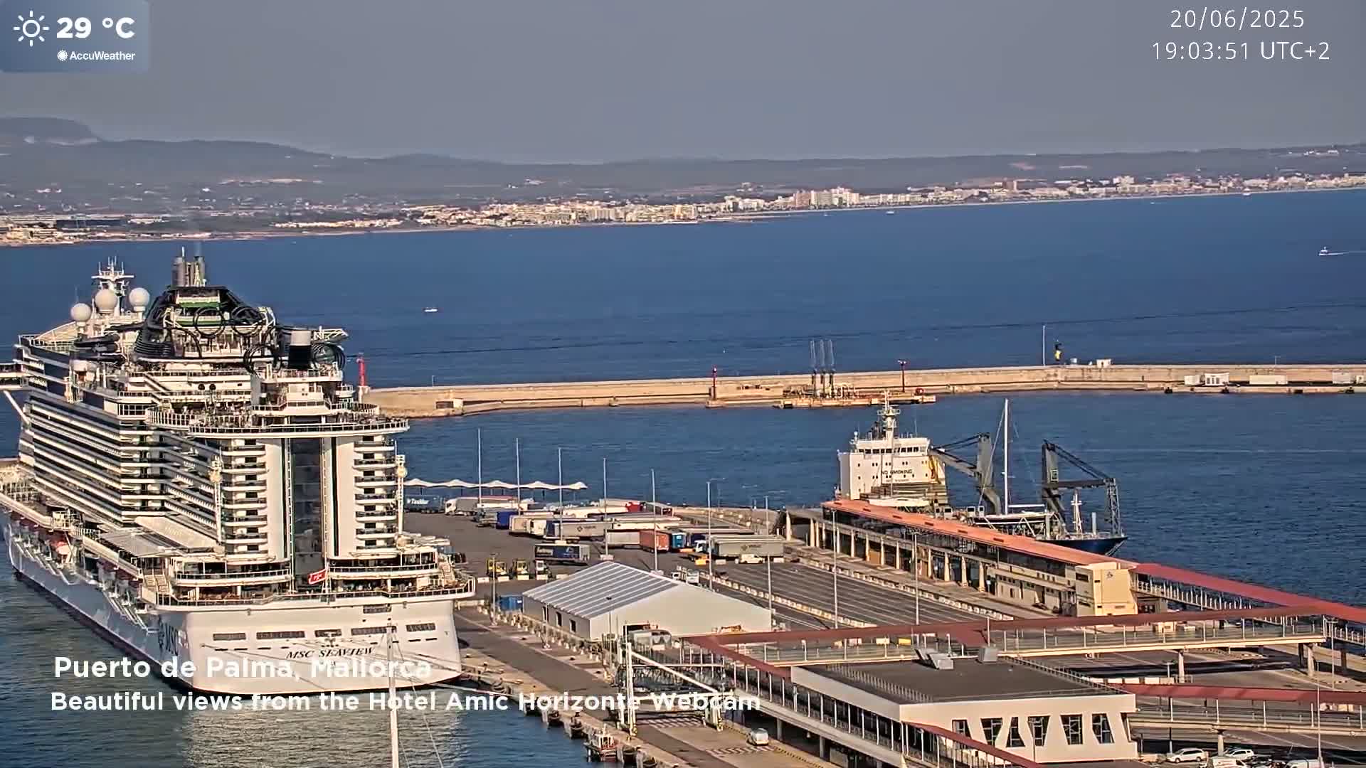 A large cruise ship is docked at a port on a sunny day, with another cargo ship nearby and a city visible in the distance.