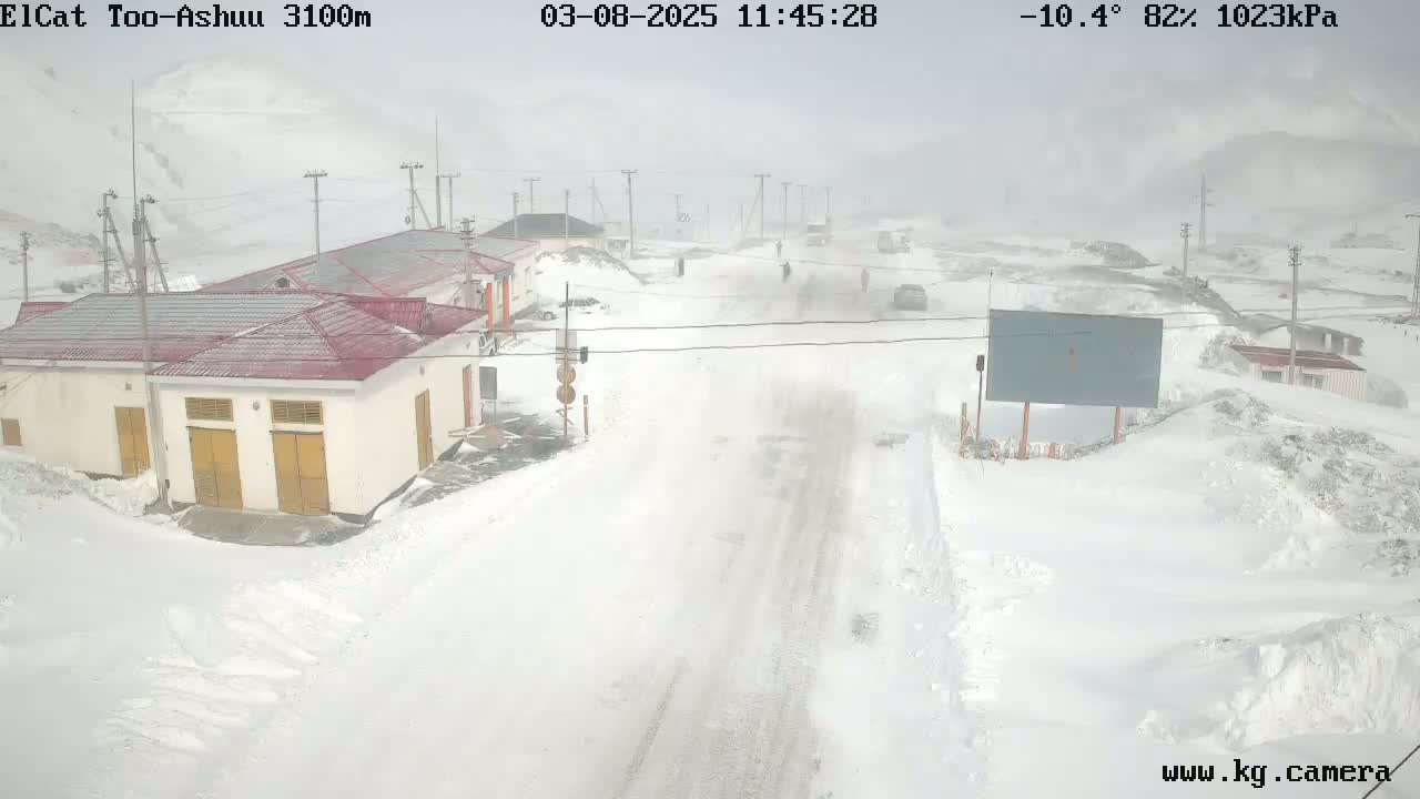 A snow-covered road passes by several buildings in a blizzard.