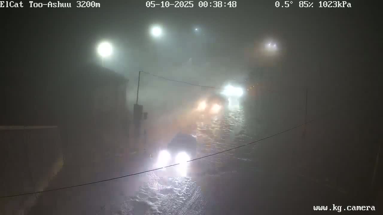 A foggy, rainy night scene shows several vehicles driving down a street with streetlights illuminating the heavy fog.