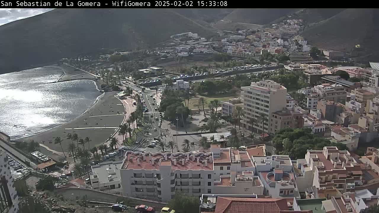 A coastal town with buildings, palm trees, and a beach is seen from a high vantage point on a sunny day.