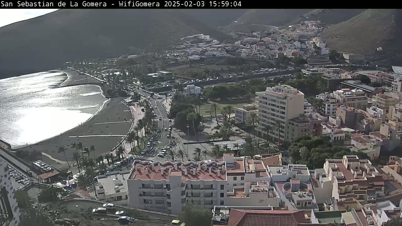 An aerial view of a coastal town on a sunny day, showing a dark sand beach with gentle waves, palm trees lining the shore, and buildings climbing up a hillside.