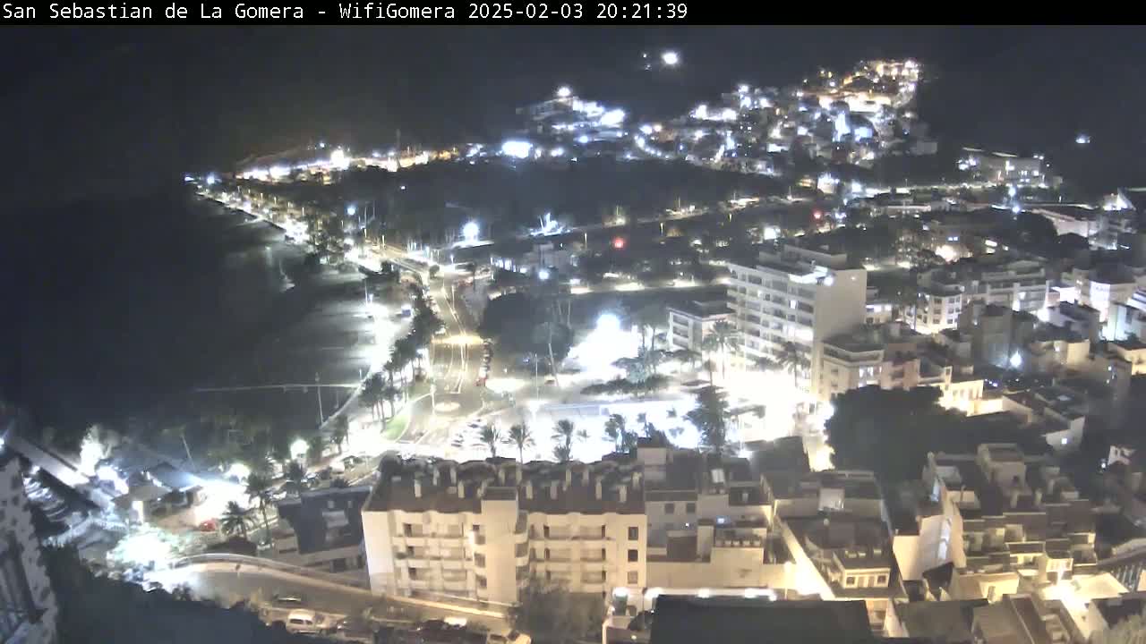 A nighttime aerial view of a coastal town shows brightly lit buildings, streets, and a dark beach under a clear sky.