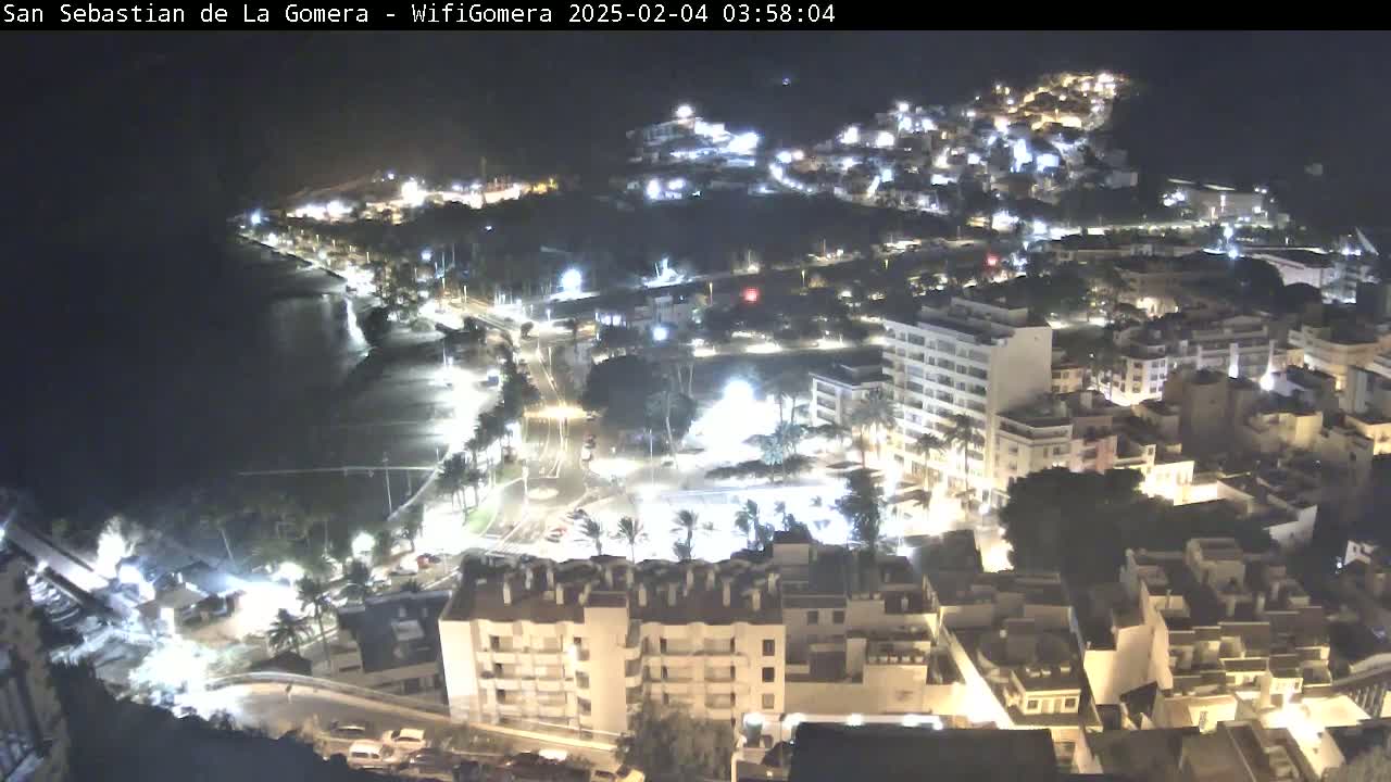 A nighttime, aerial view of a coastal town with brightly lit buildings and streets, next to a dark body of water.