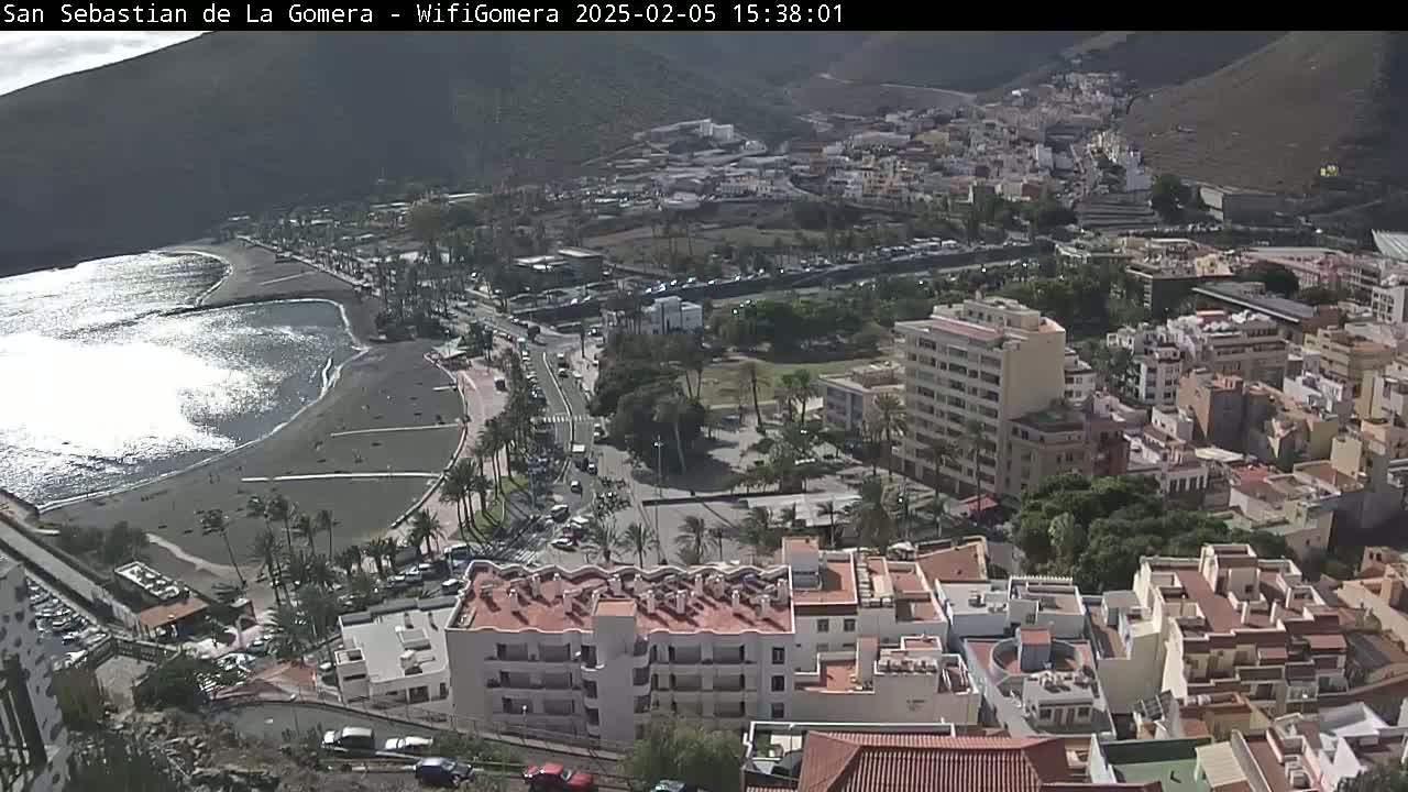 A sunny coastal town with a dark-sand beach, buildings, and palm trees is viewed from a high vantage point.
