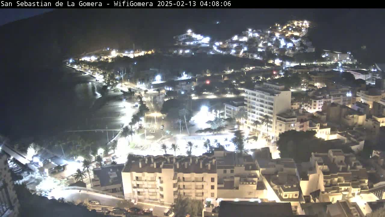 A nighttime, aerial view of a coastal town with buildings illuminated, a dark ocean, and palm trees.