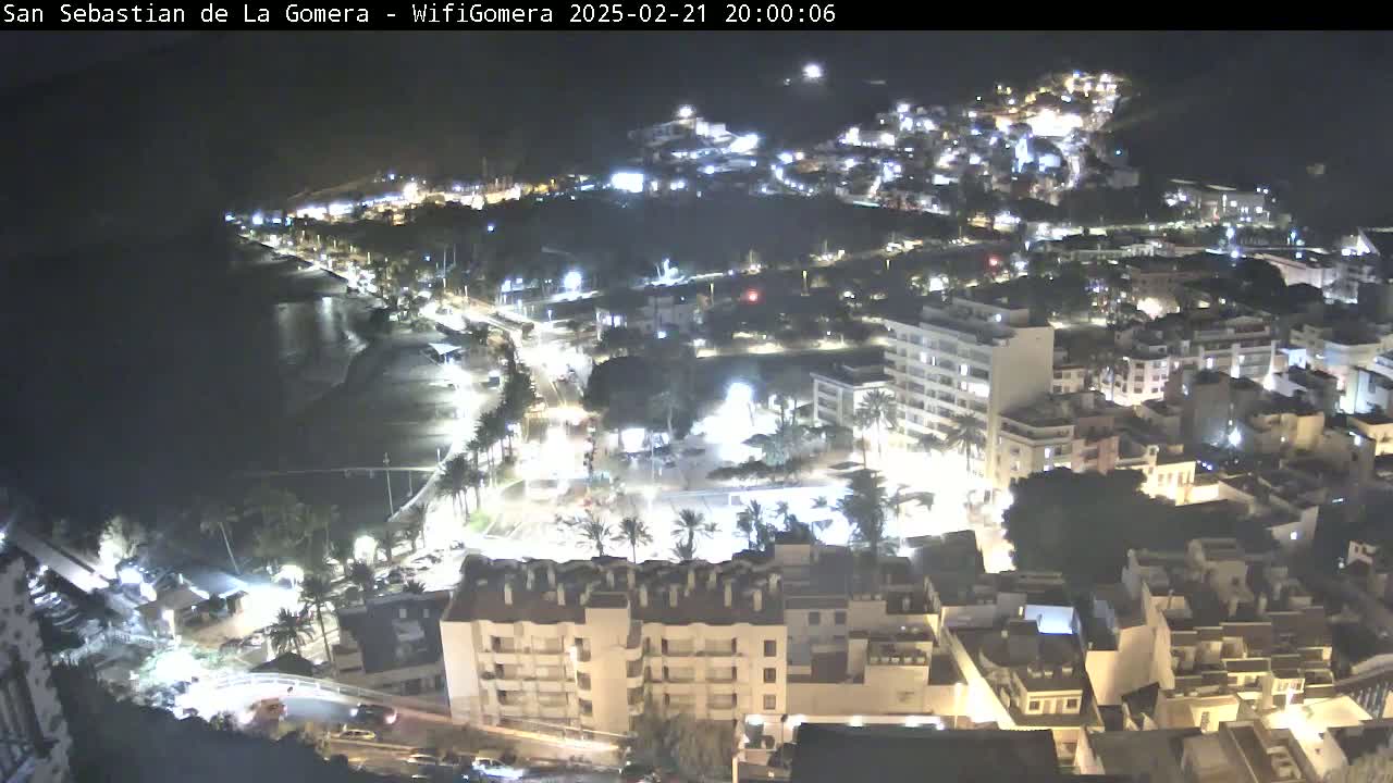 A nighttime, high-angle view of a coastal town with illuminated buildings and streets alongside a dark ocean.