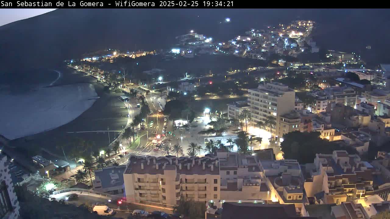 A nighttime, aerial view of a coastal town with a beach, illuminated buildings, and palm trees under a dark sky.