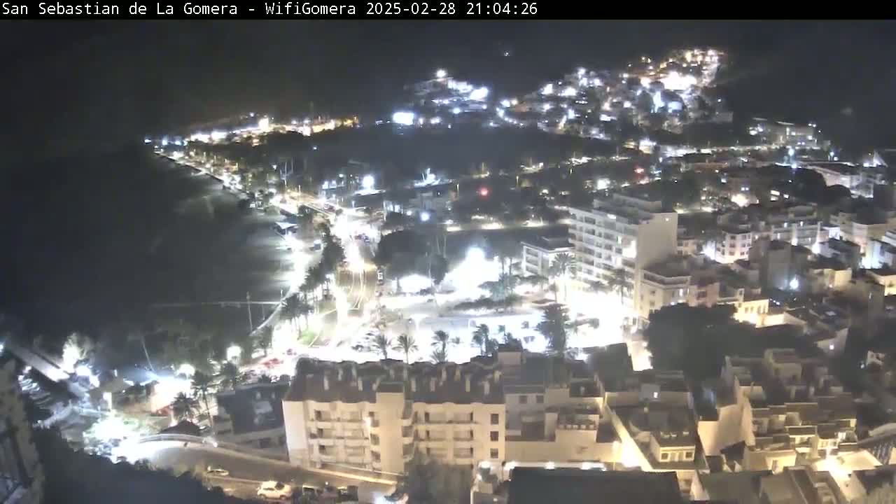 A nighttime aerial view shows a coastal town with brightly lit buildings and streets, a dark ocean, and palm trees.