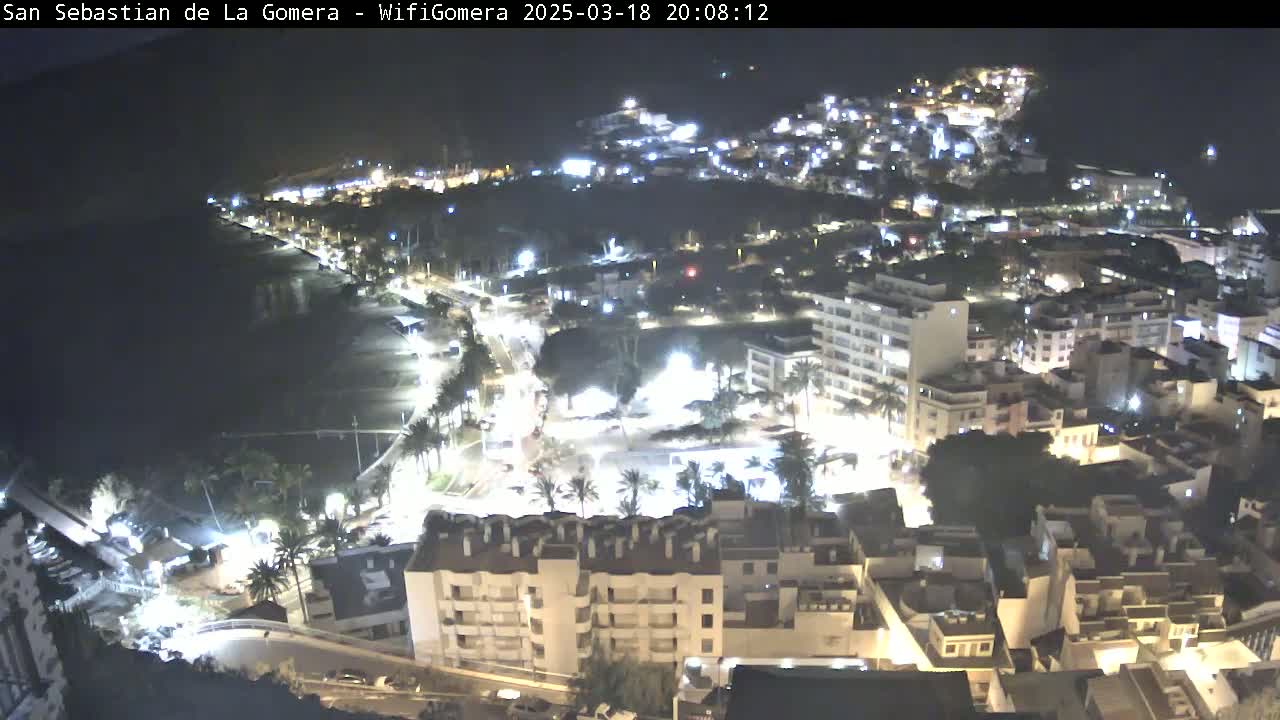 A nighttime, high-angle view of a coastal town with brightly lit buildings and streets, next to a dark ocean.