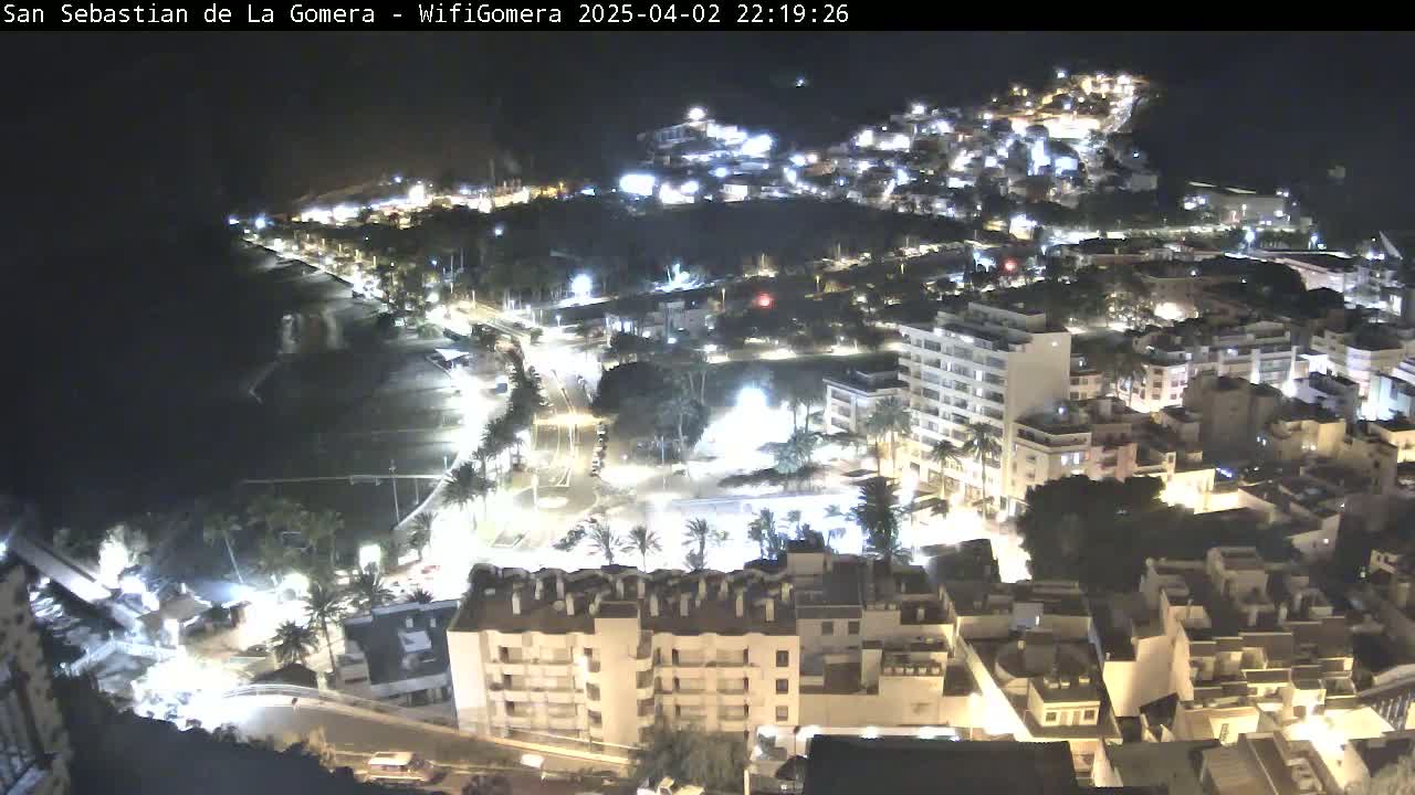 A nighttime, high-angle view of a coastal town with buildings illuminated, a dark ocean, and a beach.