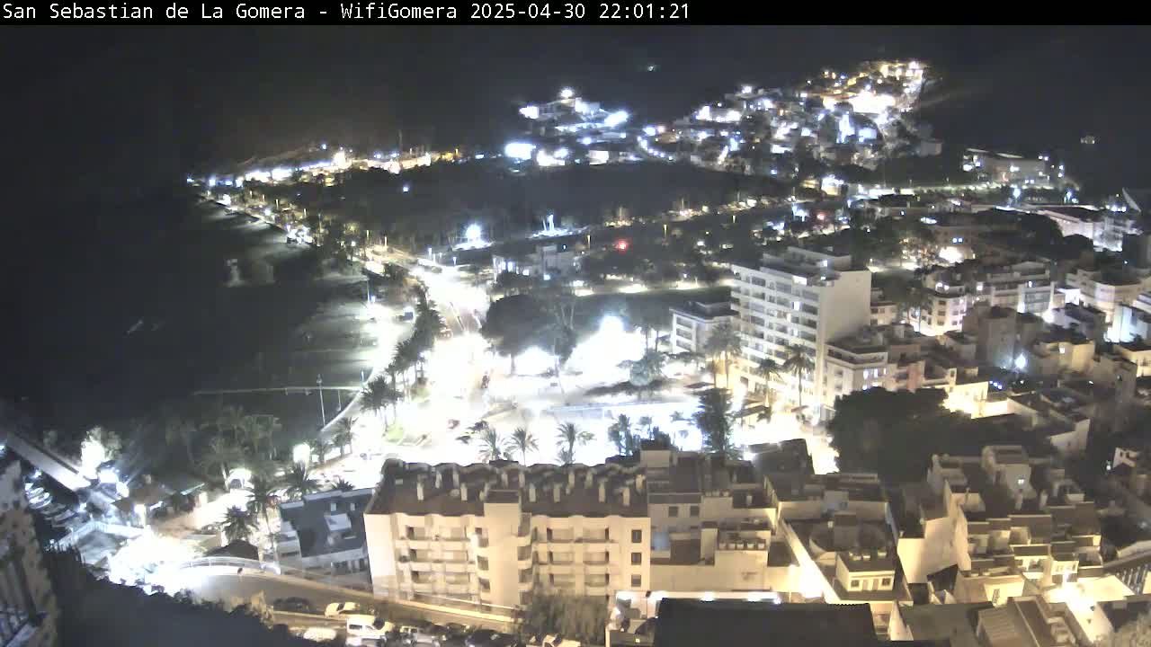A nighttime, aerial view of a coastal town with buildings illuminated, palm trees, and a dark ocean visible in the background.