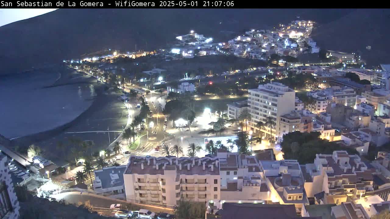 A nighttime aerial view of a coastal town shows a dark ocean, a beach, illuminated buildings, and palm trees.