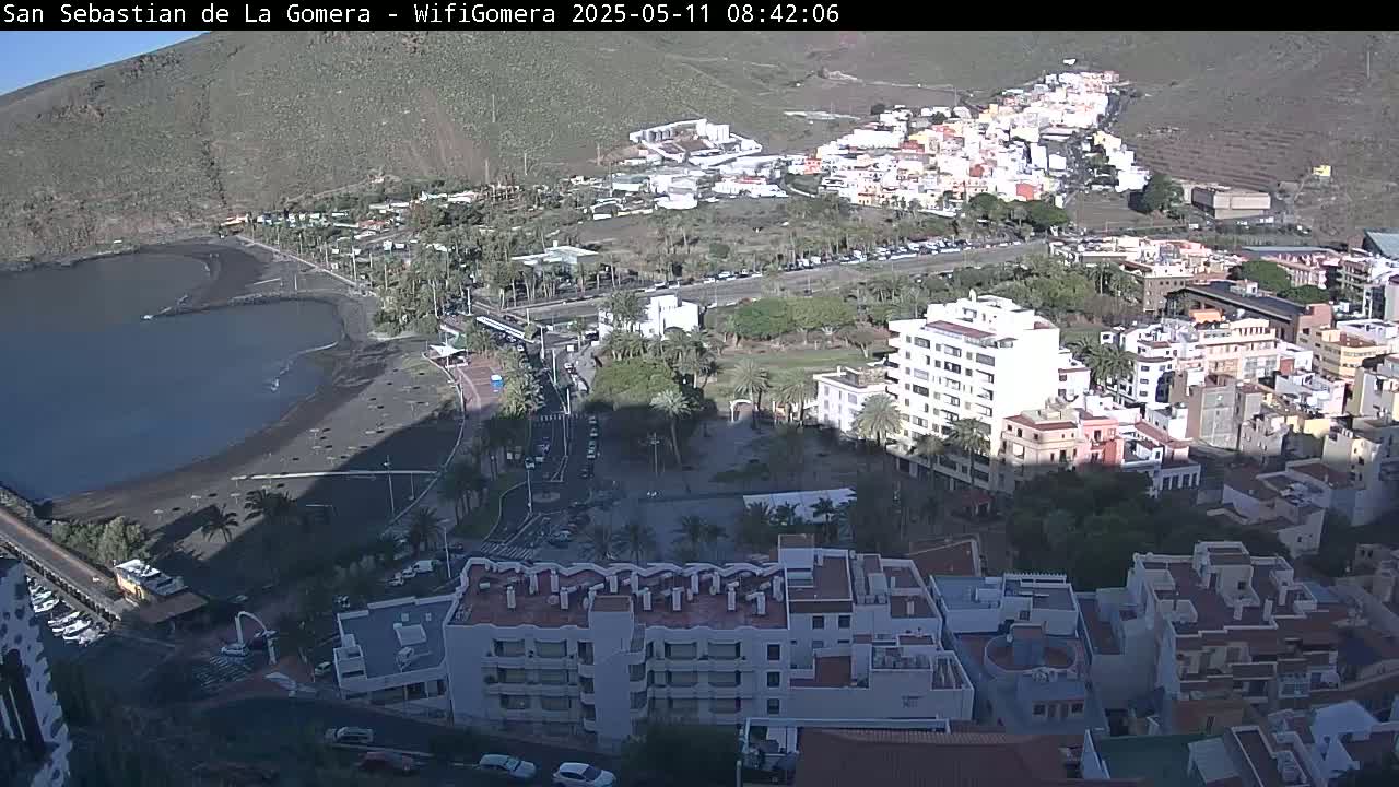 A coastal town with a black sand beach, buildings, palm trees, and a clear, sunny sky.