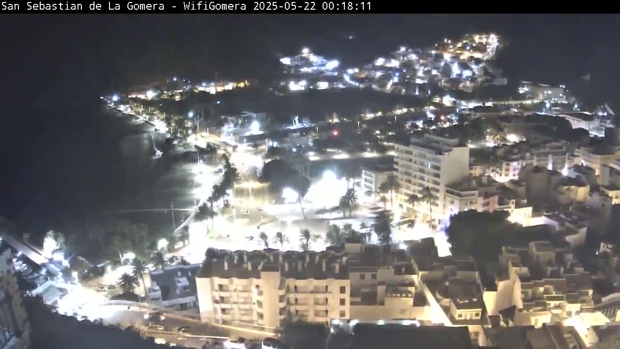 A nighttime aerial view of a coastal town shows brightly lit buildings and streets along a dark beach under a clear sky.
