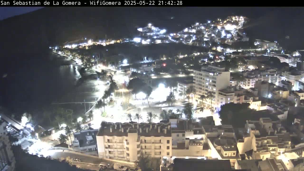 A nighttime aerial view shows a coastal town with buildings illuminated, palm trees, and a dark body of water.