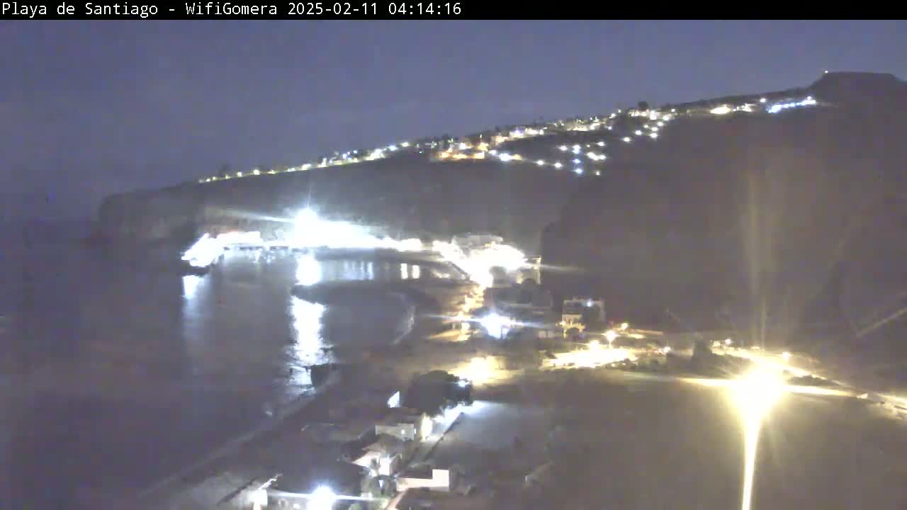A nighttime, high-angle view of a coastal town illuminated by lights, with a dark body of water in the foreground.