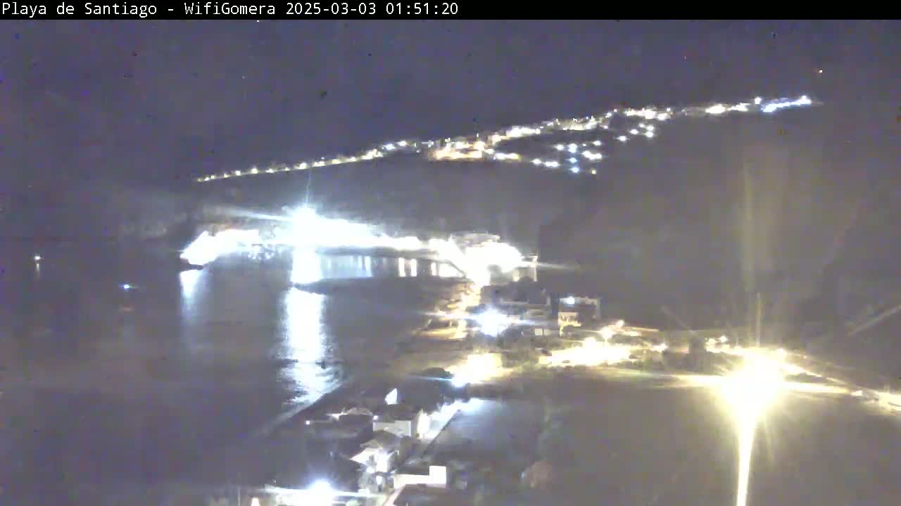 A nighttime, long-range view of a coastal town illuminated by lights, with a dark body of water in the foreground.