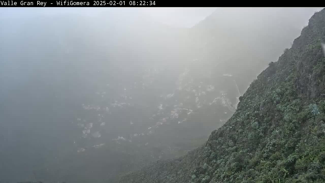 A foggy view from a mountaintop shows a valley shrouded in mist below, with vegetation clinging to the steep, rocky hillside in the foreground.
