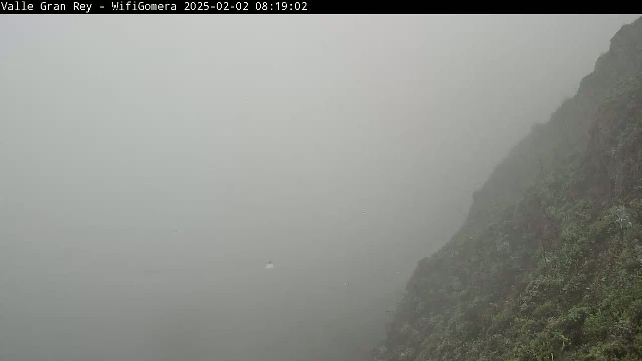 A steep, vegetated cliffside is partially obscured by heavy fog.