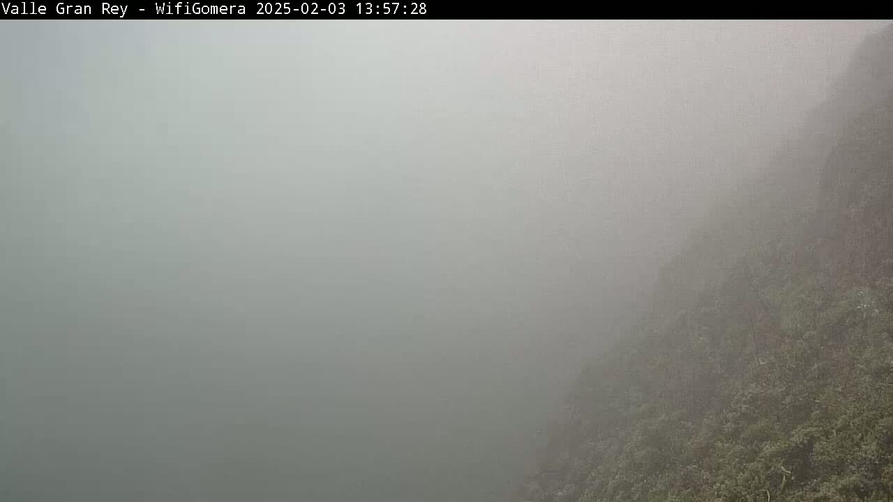 A foggy landscape shows a hillside covered in low vegetation.