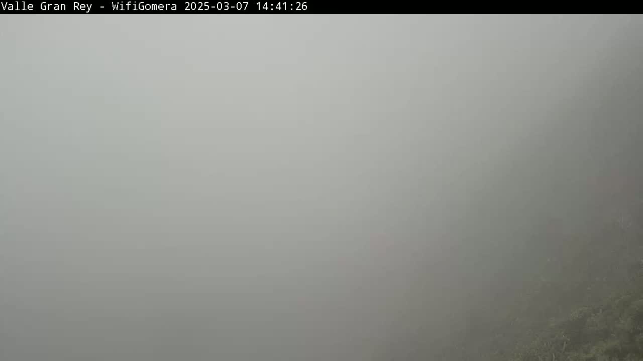 A thick fog obscures the view of vegetation in the lower right corner of the image.