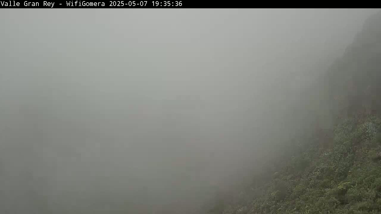 A thick fog obscures the view of a hillside covered in low-lying vegetation.