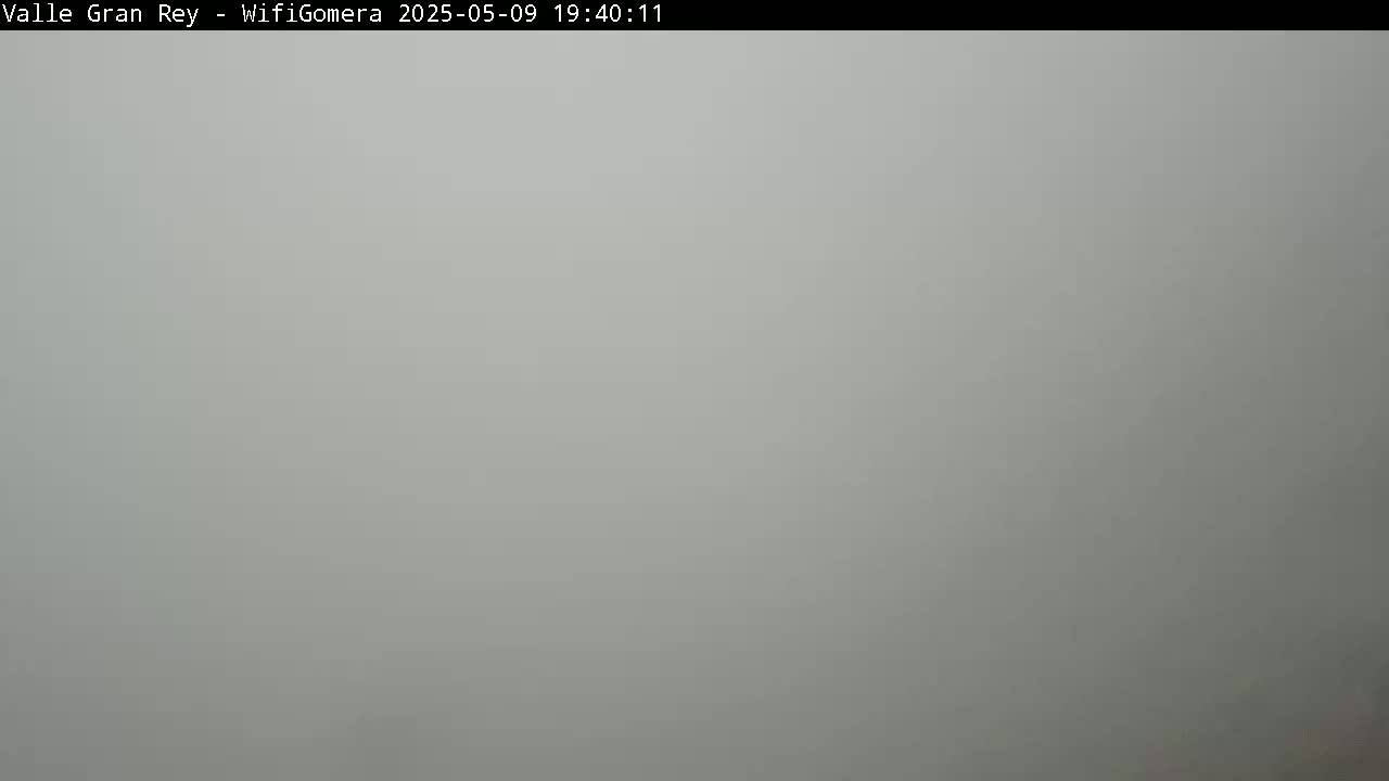 A uniformly light gray, foggy scene is visible.