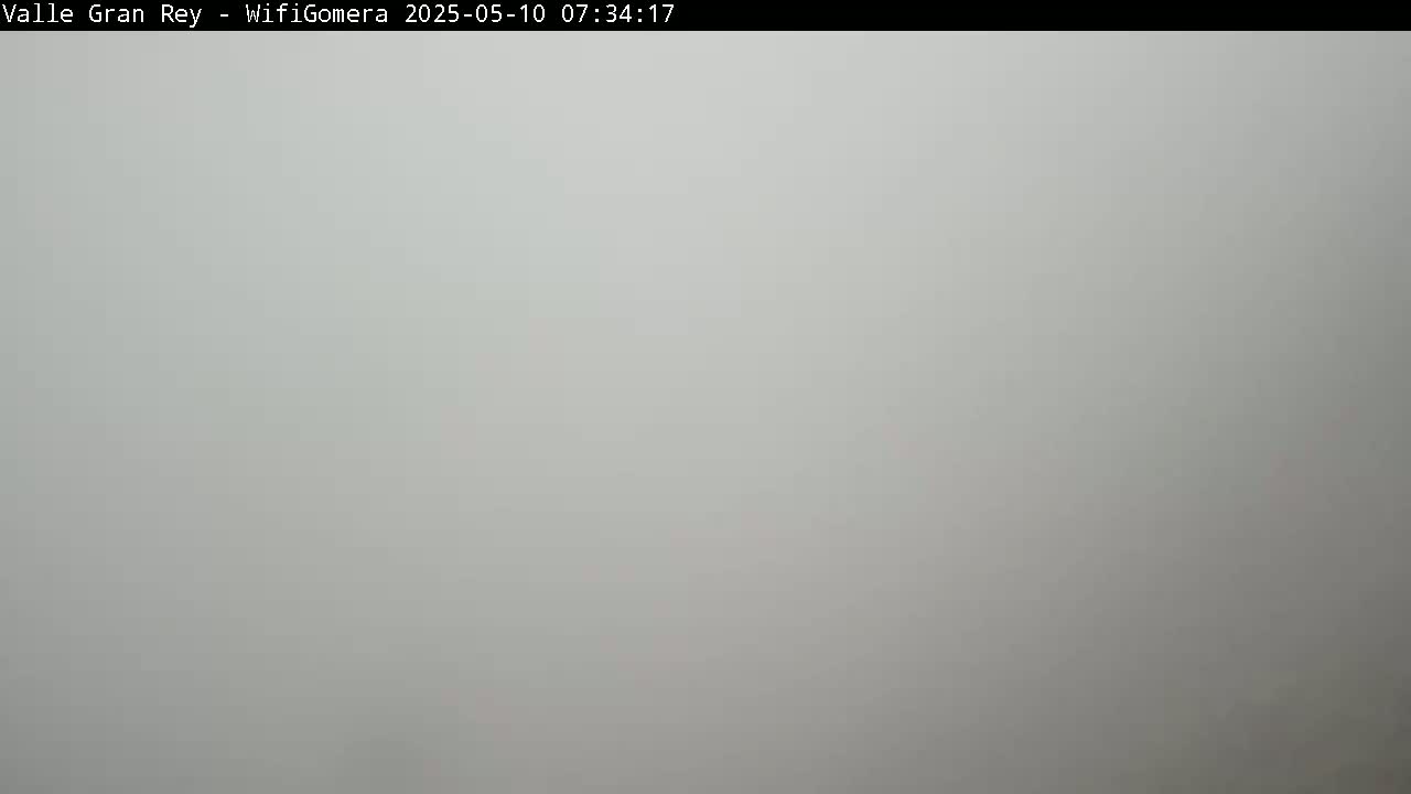 A solid, light gray expanse fills the frame, suggesting a foggy or overcast outdoor scene.