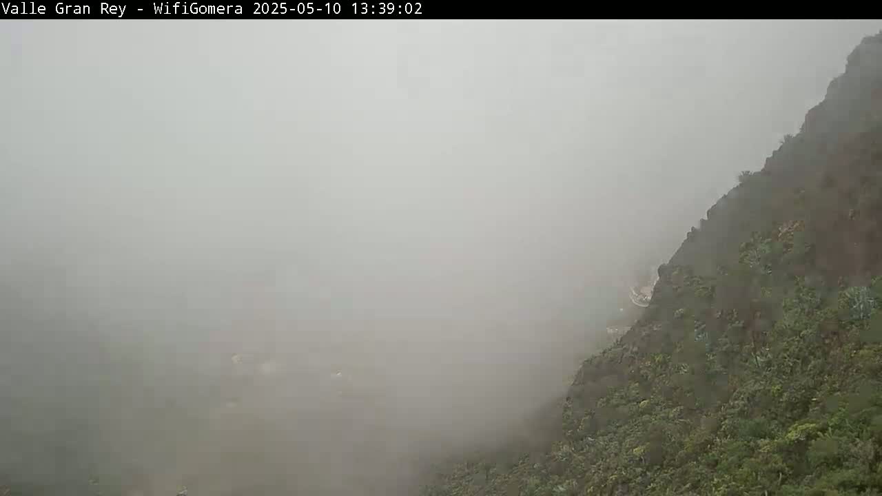 A thick fog obscures a view of a vegetated hillside.
