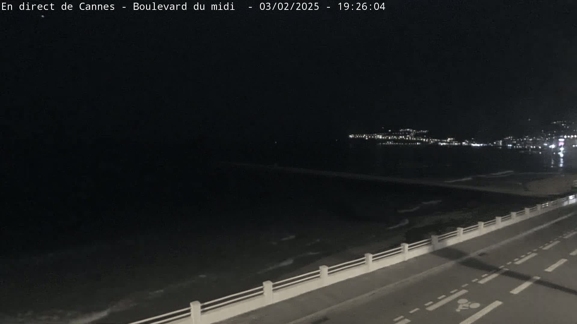 A nighttime coastal road with a low white railing overlooks a dark ocean with gentle waves and a distant city skyline illuminated by lights.