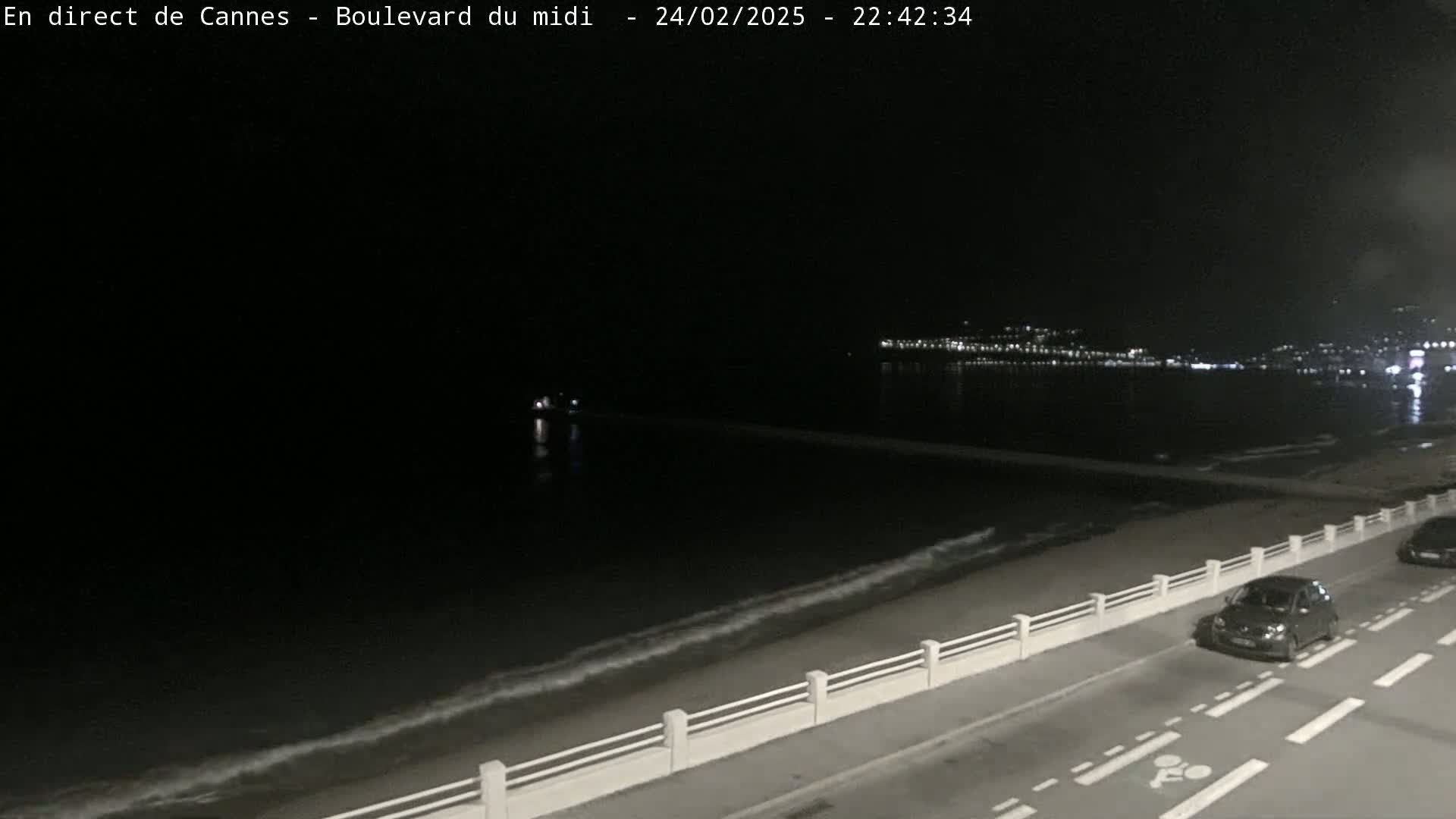 A nighttime view of a dark ocean with gentle waves lapping a shoreline, a road with cars visible next to a low white fence, and city lights faintly visible in the distance.