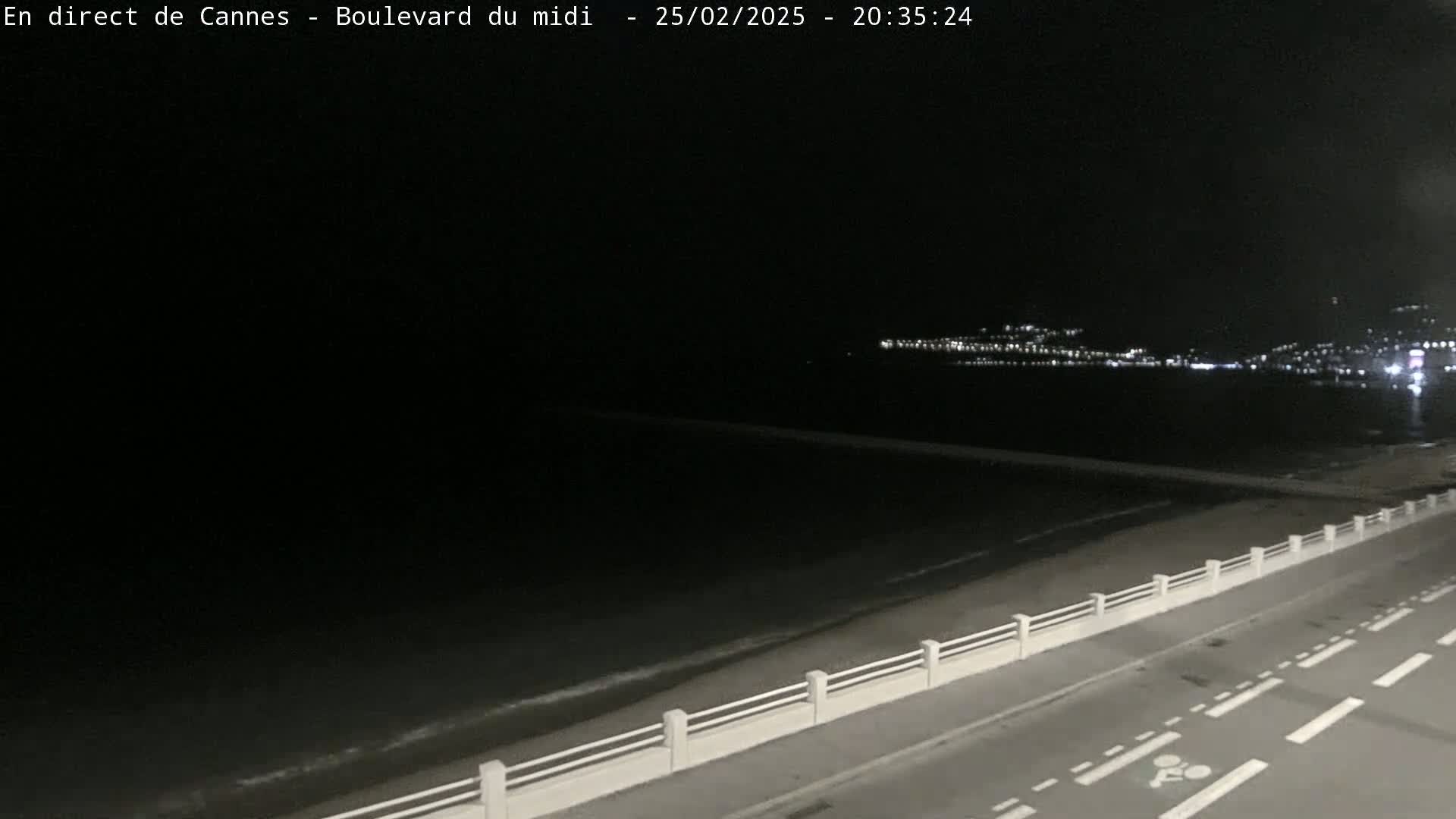 A nighttime view of a dark ocean with a city's lights visible in the distance, a road with a low white railing separating it from the beach.