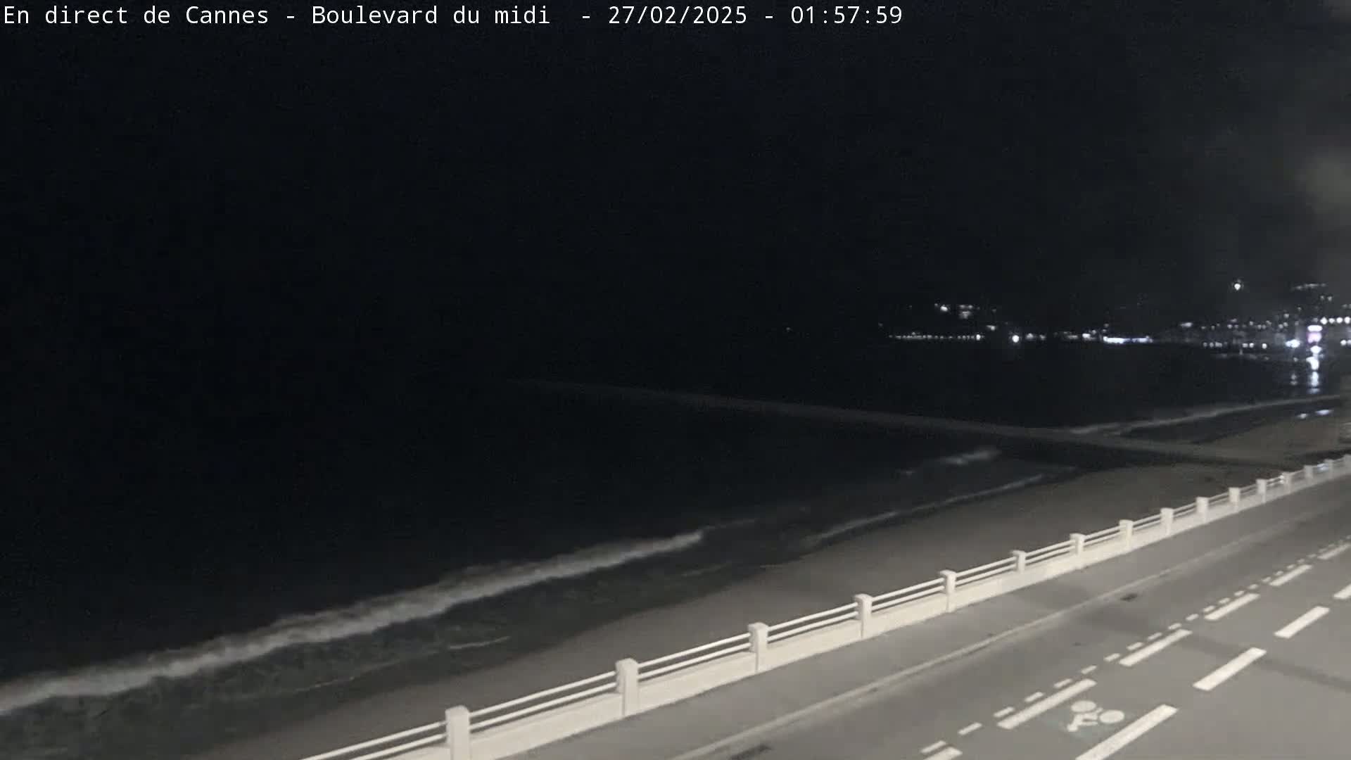 A nighttime view of a dark ocean with small waves lapping a shoreline, next to a road with a low white railing.