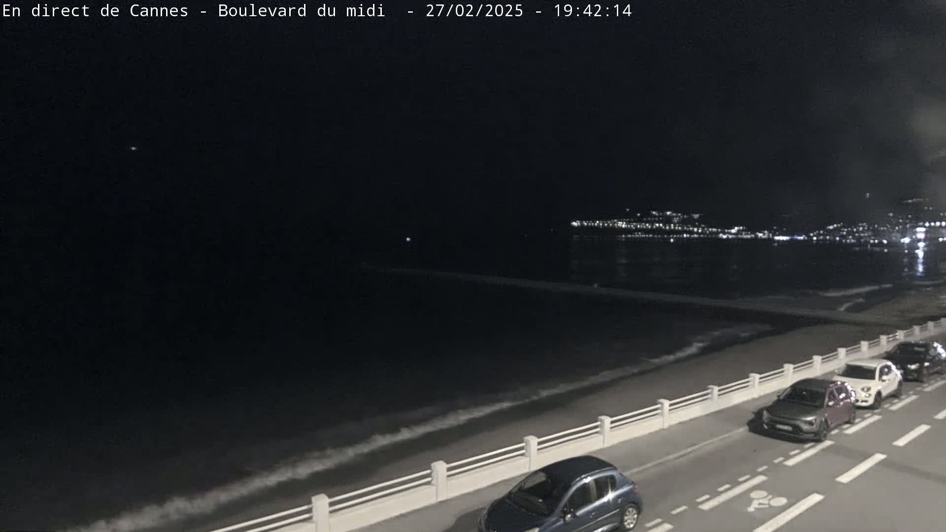 A nighttime view of a dark ocean with gentle waves lapping a shoreline, where several cars are parked along a road beside a white railing.