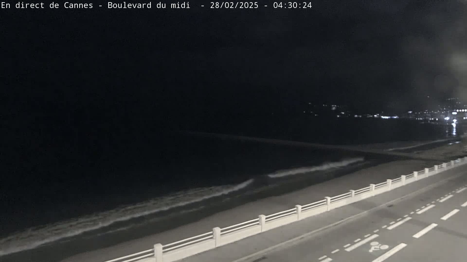 A nighttime view of a dark ocean with small waves lapping a shore, next to a road with a low white railing.
