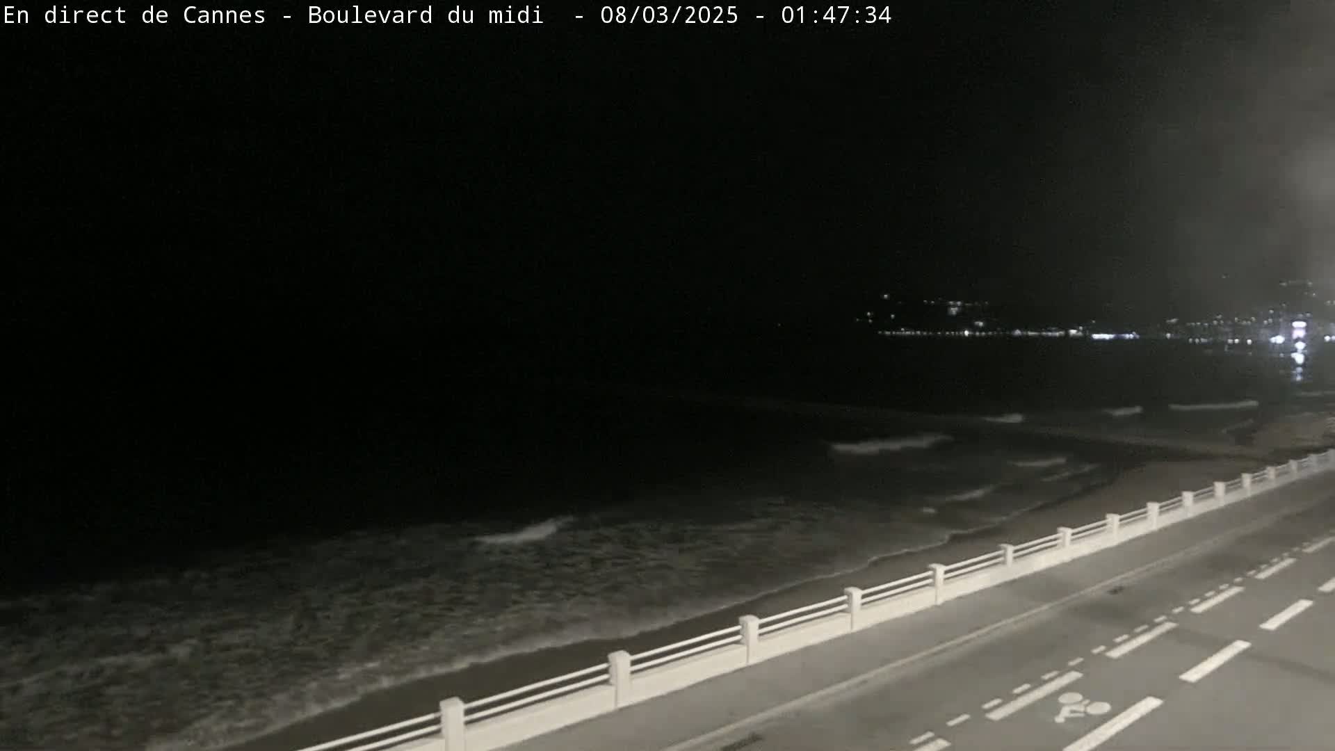 A nighttime view of a dark ocean with small waves lapping a sandy shore next to a road with a low white railing.