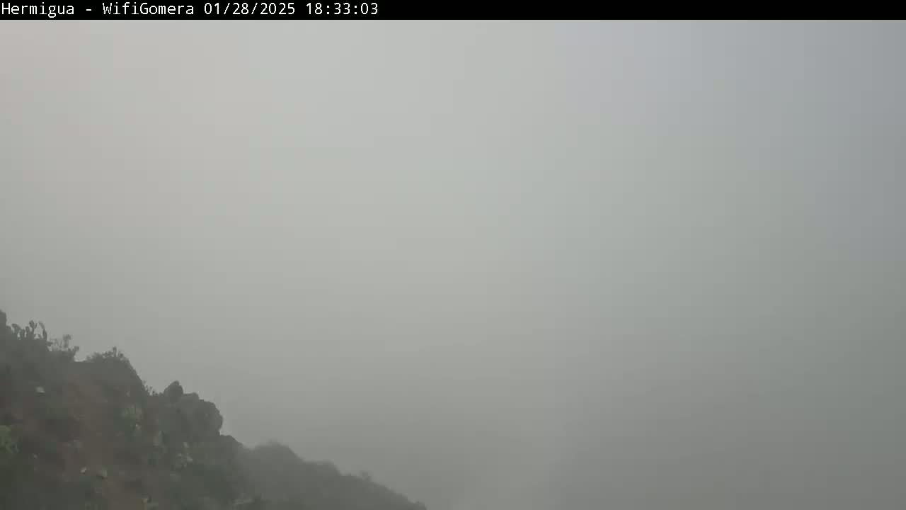 A dense fog obscures the view of a rocky, vegetated hillside.