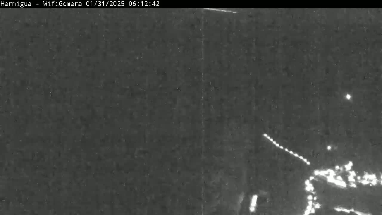 A nighttime, low-light image shows a dark, possibly vegetated area with a road and some distant lights visible.