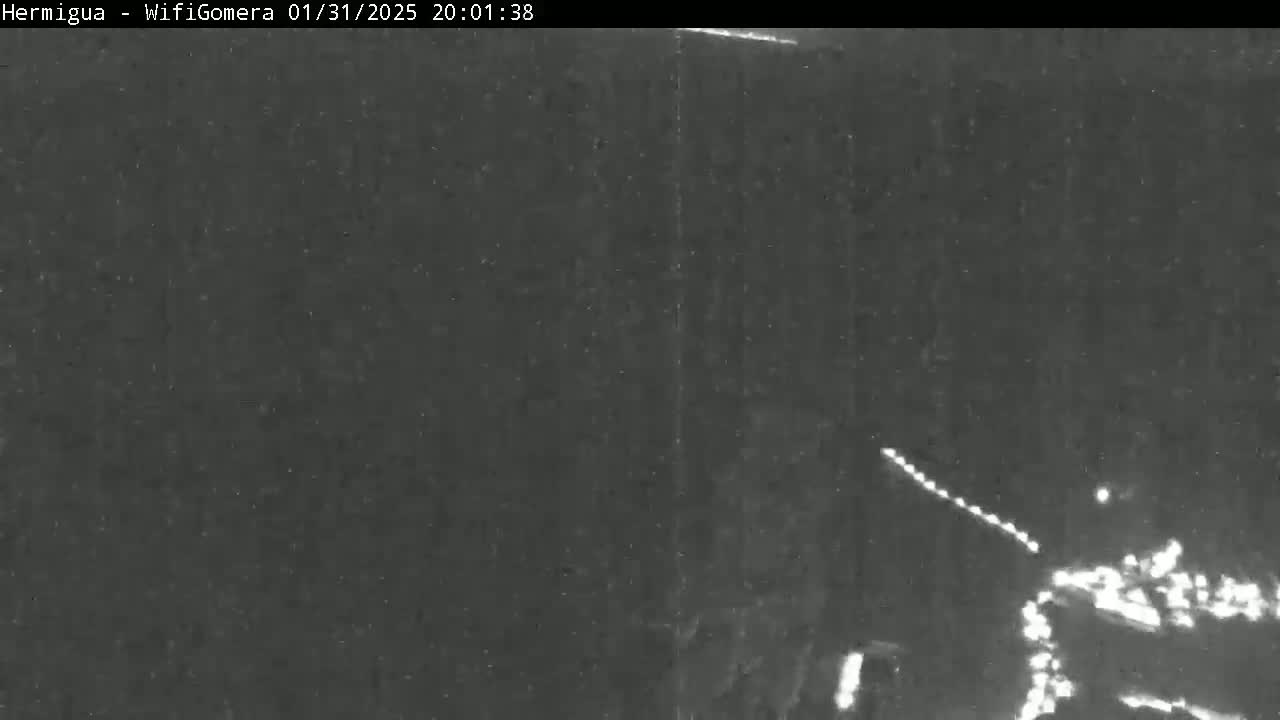 A nighttime, low-light image shows a dark, possibly wooded area with a faint line of lights in the distance.