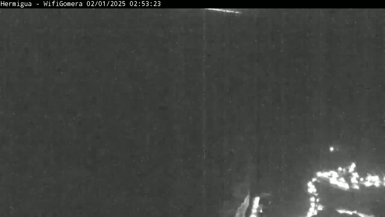 A low-light nighttime image shows a blurry view of what appears to be a road or area with faint lights in the distance.