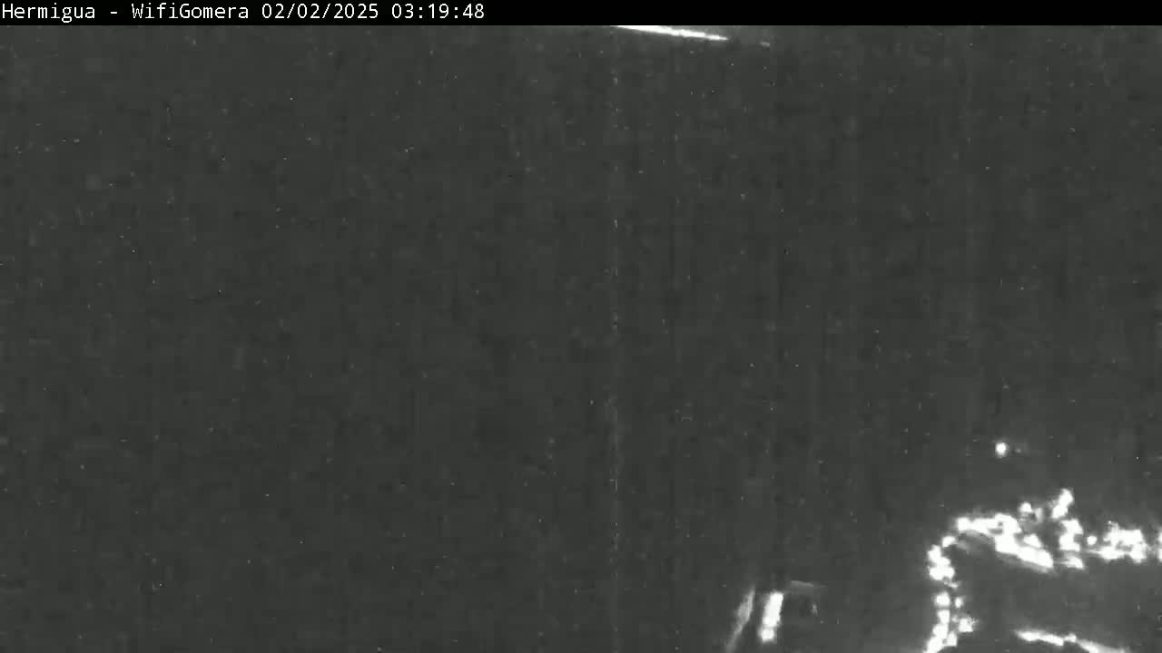 A low-light, nighttime image shows a dark, possibly wooded area with a faintly visible object, possibly a vehicle, with bright lights in the bottom right corner.