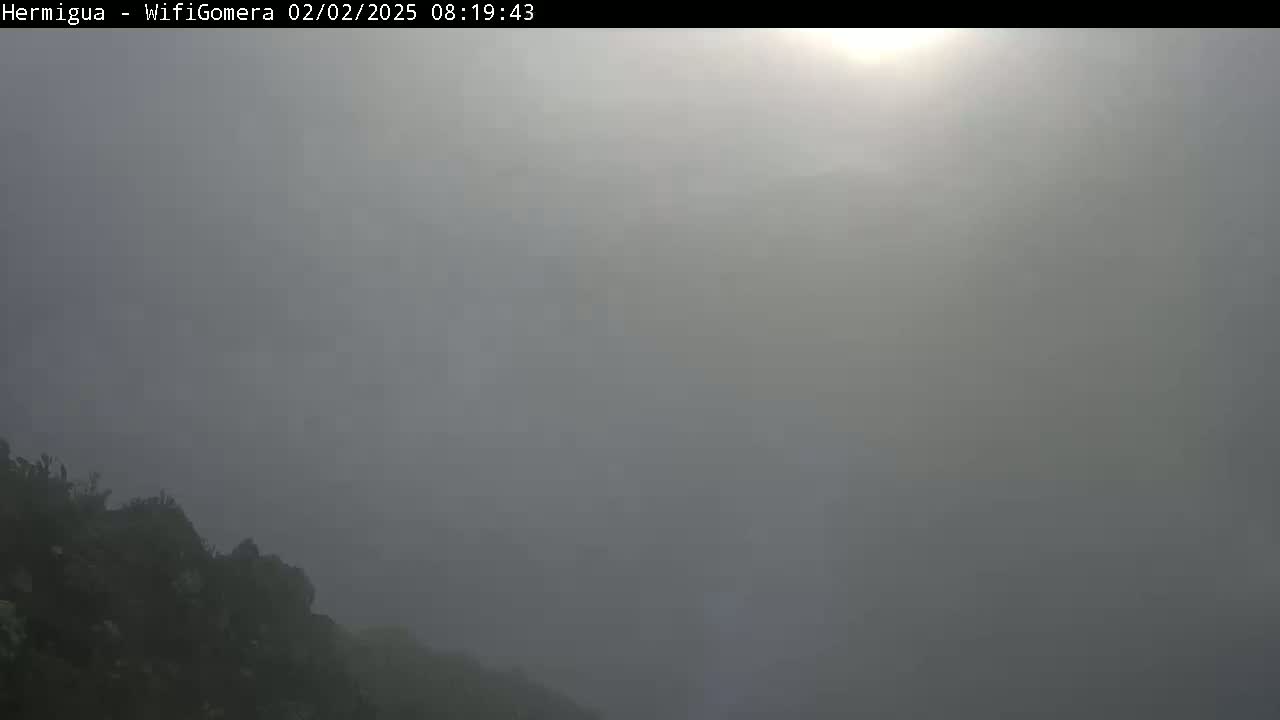 A hazy, bright sun shines over a dark, foggy landscape with vegetation visible in the bottom-left corner.