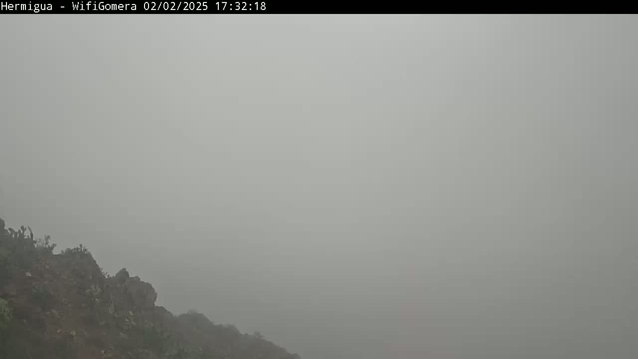 A rocky, sparsely vegetated hillside is shrouded in thick fog.