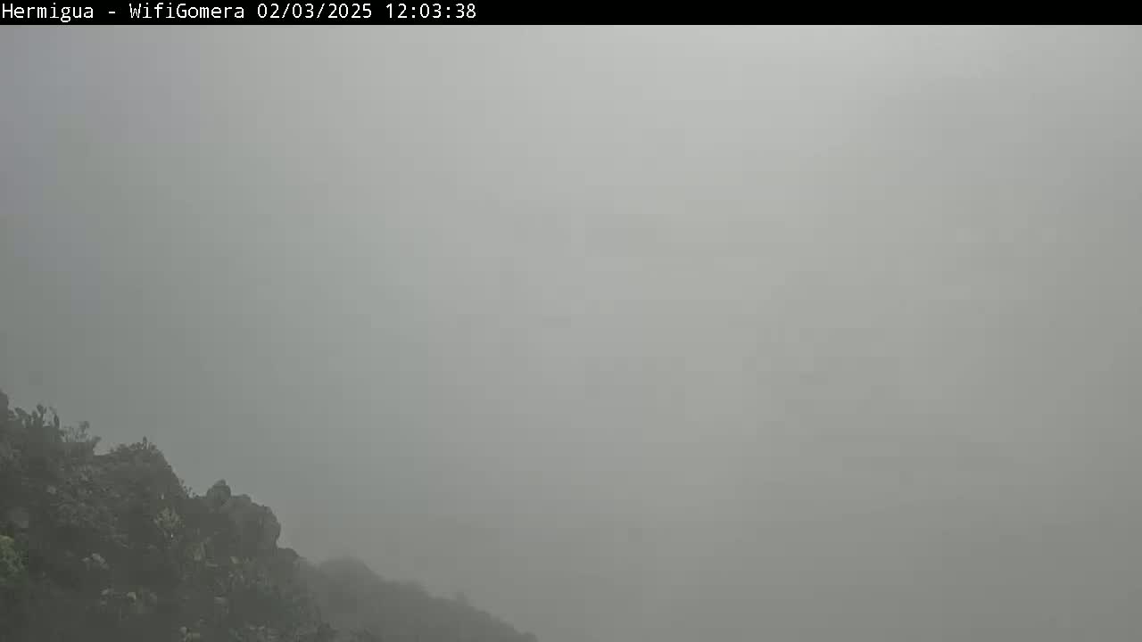 A rocky hillside is shrouded in thick fog.