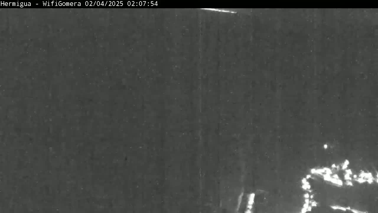 A grainy, nighttime image shows a dark, possibly wooded area with a faintly illuminated object or structure in the lower-right corner.