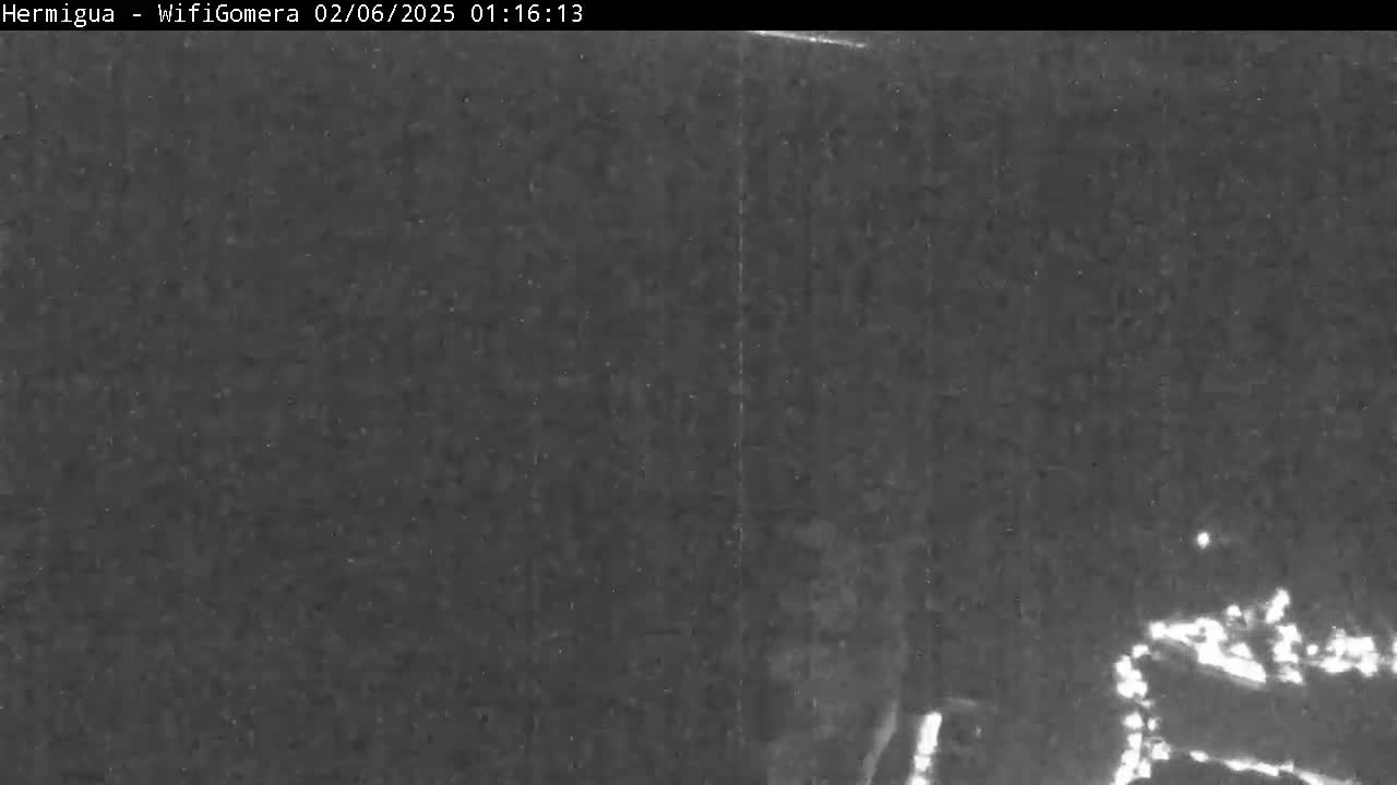 A grainy, low-light image shows a dark, possibly nighttime scene with a hint of faint light in the lower right corner.